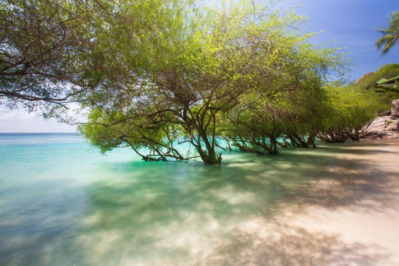 Koh Tao Relax Freedom Beach Resort Exteriör bild
